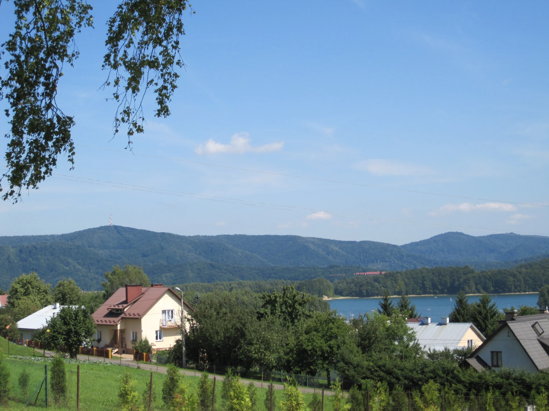 Dzień 5